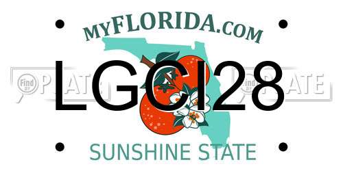 LGCI28 Florida License Plate