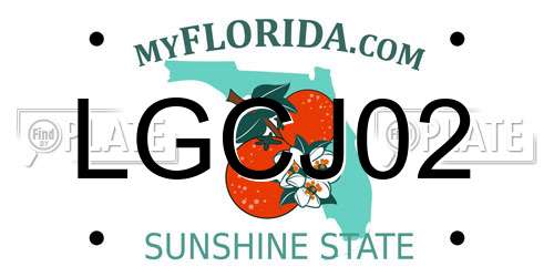LGCJ02 Florida License Plate