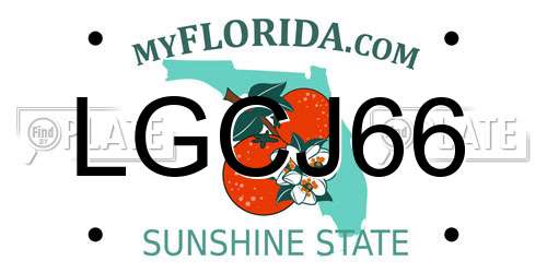 LGCJ66 Florida License Plate
