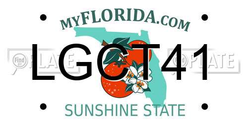 LGCT41 Florida License Plate