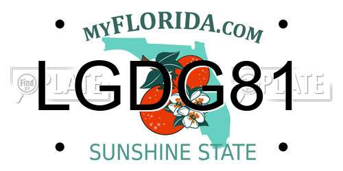LGDG81 Florida License Plate