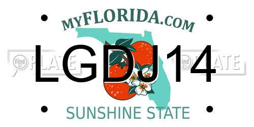 LGDJ14 Florida License Plate
