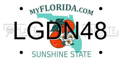 LGDN48 Florida License Plate