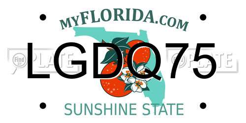 LGDQ75 Florida License Plate