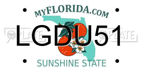 LGDU51 Florida License Plate