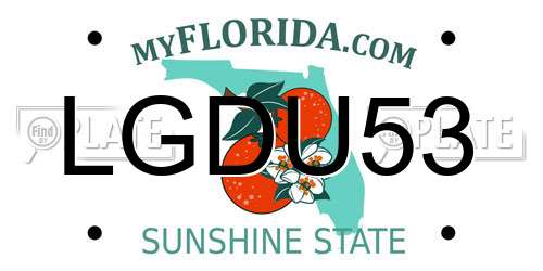 LGDU53 Florida License Plate