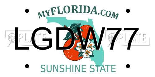 LGDW77 Florida License Plate