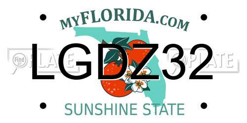 LGDZ32 Florida License Plate