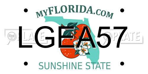 LGEA57 Florida License Plate