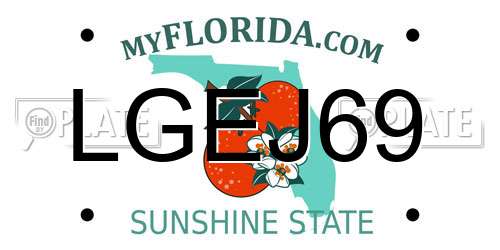 LGEJ69 Florida License Plate