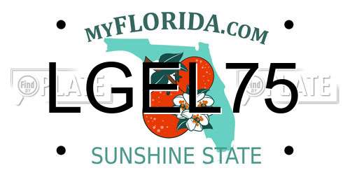 LGEL75 Florida License Plate