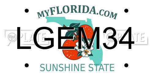 LGEM34 Florida License Plate