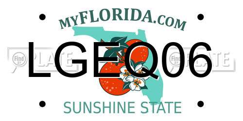 LGEQ06 Florida License Plate
