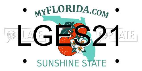 LGES21 Florida License Plate