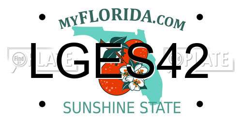 LGES42 Florida License Plate