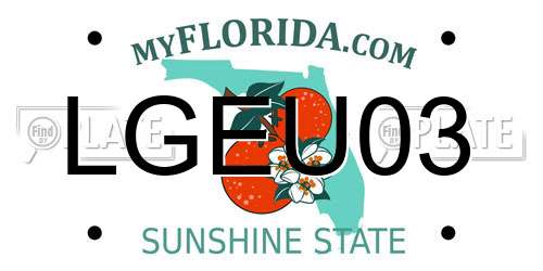 LGEU03 Florida License Plate