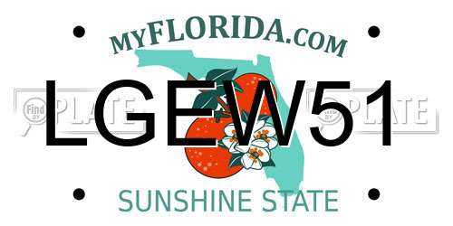 LGEW51 Florida License Plate
