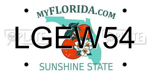 LGEW54 Florida License Plate