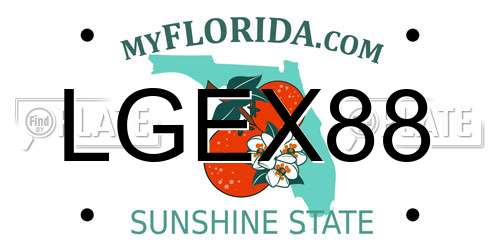 LGEX88 Florida License Plate