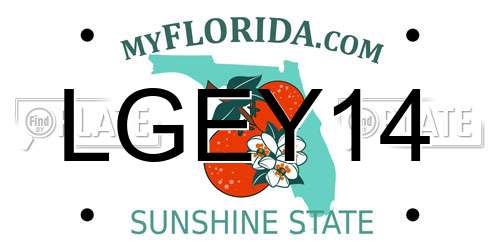 LGEY14 Florida License Plate