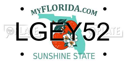 LGEY52 Florida License Plate