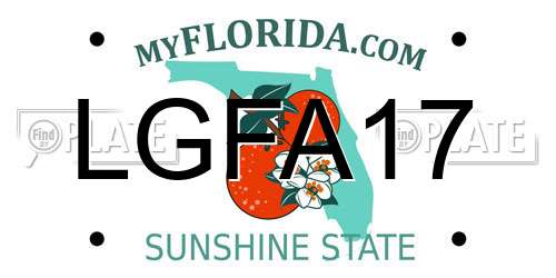 LGFA17 Florida License Plate