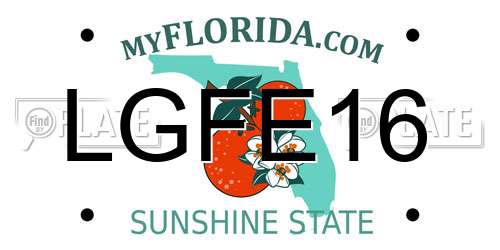LGFE16 Florida License Plate