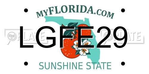 LGFE29 Florida License Plate