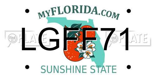LGFF71 Florida License Plate