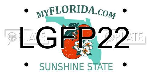 LGFP22 Florida License Plate
