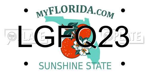 LGFQ23 Florida License Plate