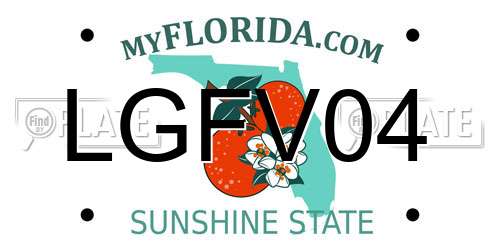 LGFV04 Florida License Plate