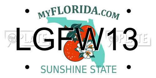 LGFW13 Florida License Plate