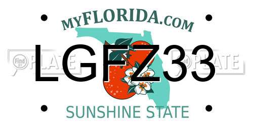 LGFZ33 Florida License Plate