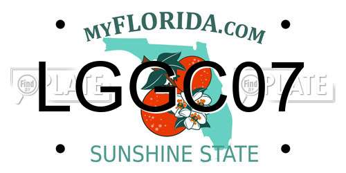 LGGC07 Florida License Plate