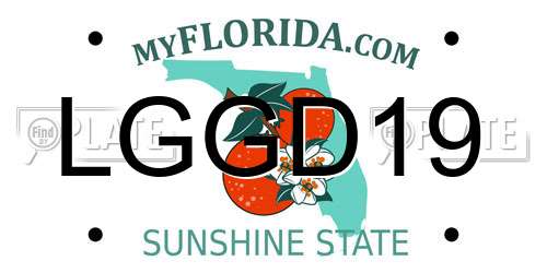 LGGD19 Florida License Plate