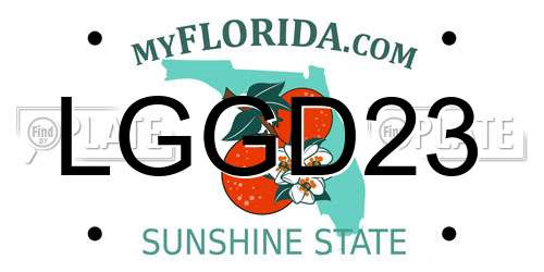 LGGD23 Florida License Plate