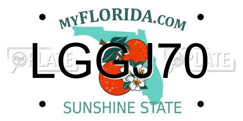 LGGJ70 Florida License Plate