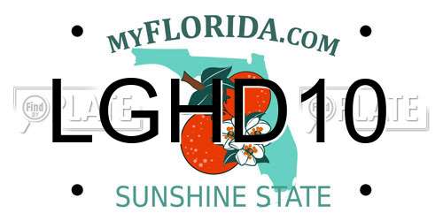 LGHD10 Florida License Plate