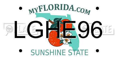LGHE96 Florida License Plate