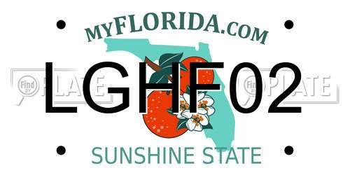 LGHF02 Florida License Plate