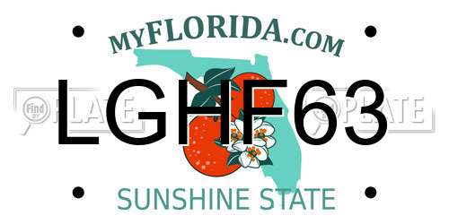 LGHF63 Florida License Plate
