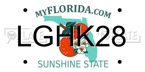 LGHK28 Florida License Plate