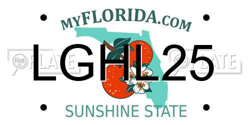 LGHL25 Florida License Plate