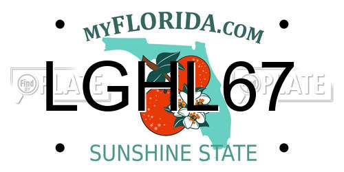 LGHL67 Florida License Plate