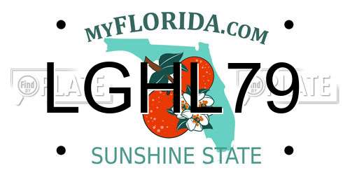 LGHL79 Florida License Plate