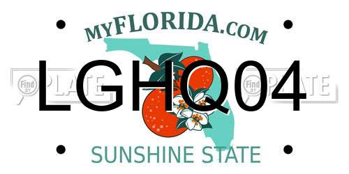 LGHQ04 Florida License Plate