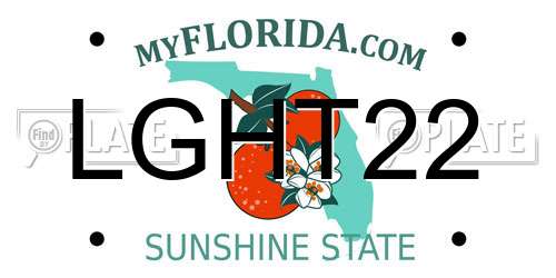 LGHT22 Florida License Plate