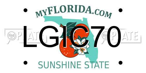 LGIC70 Florida License Plate