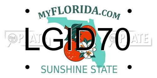 LGID70 Florida License Plate